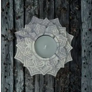 Lotusbloem - Heavenly Moon